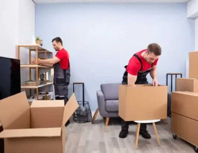 Office Shifting x